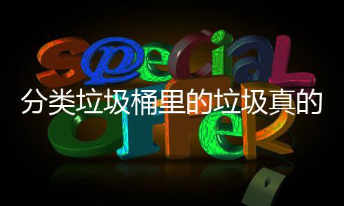 的垃的会垃圾分类分类圾真桶里吗处置